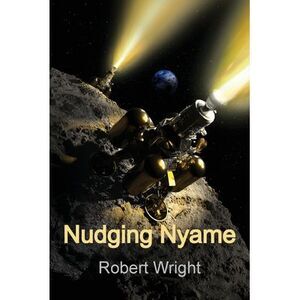 Nudging Nyame -- Robert Wright